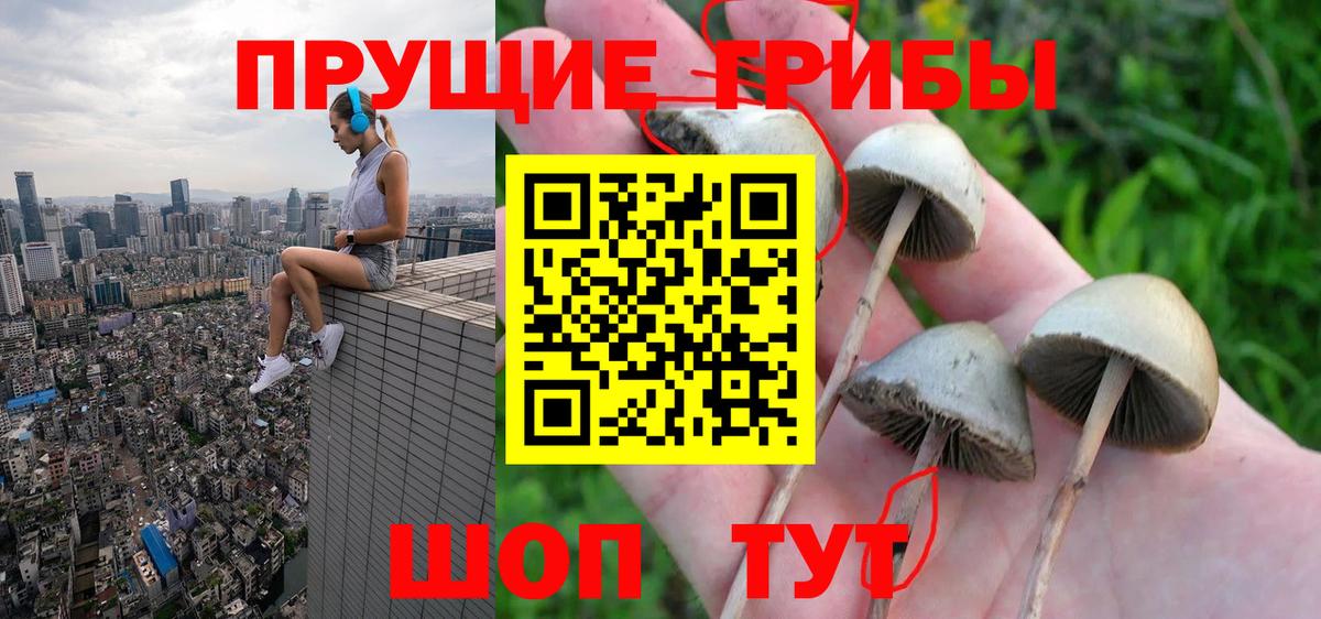 Псилоцибиновые грибы мухоморы  Вход с VPN  Губкин 