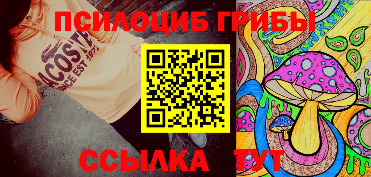 Галлюциногенные грибы мухоморы Губкин