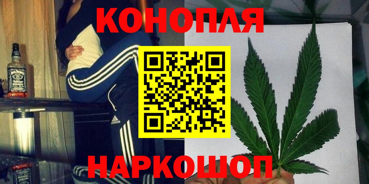 Конопля гибрид Губкин
